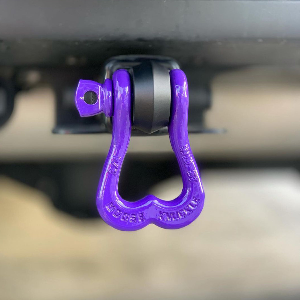 Moose Knuckle XL Shackle 3/4 (Grape-Escape Purple Color)